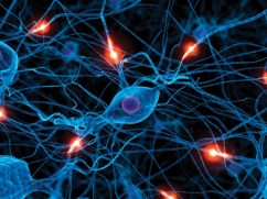 New Master’s Program at ISEC NAS RA - Neurophysiology and Toxinology