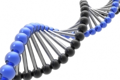 New Master’s Program in Molecular and Cellular Biology