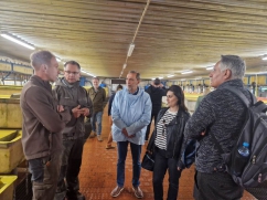 Visit of AFISHE Working Group to Fish Farm in Slovakia